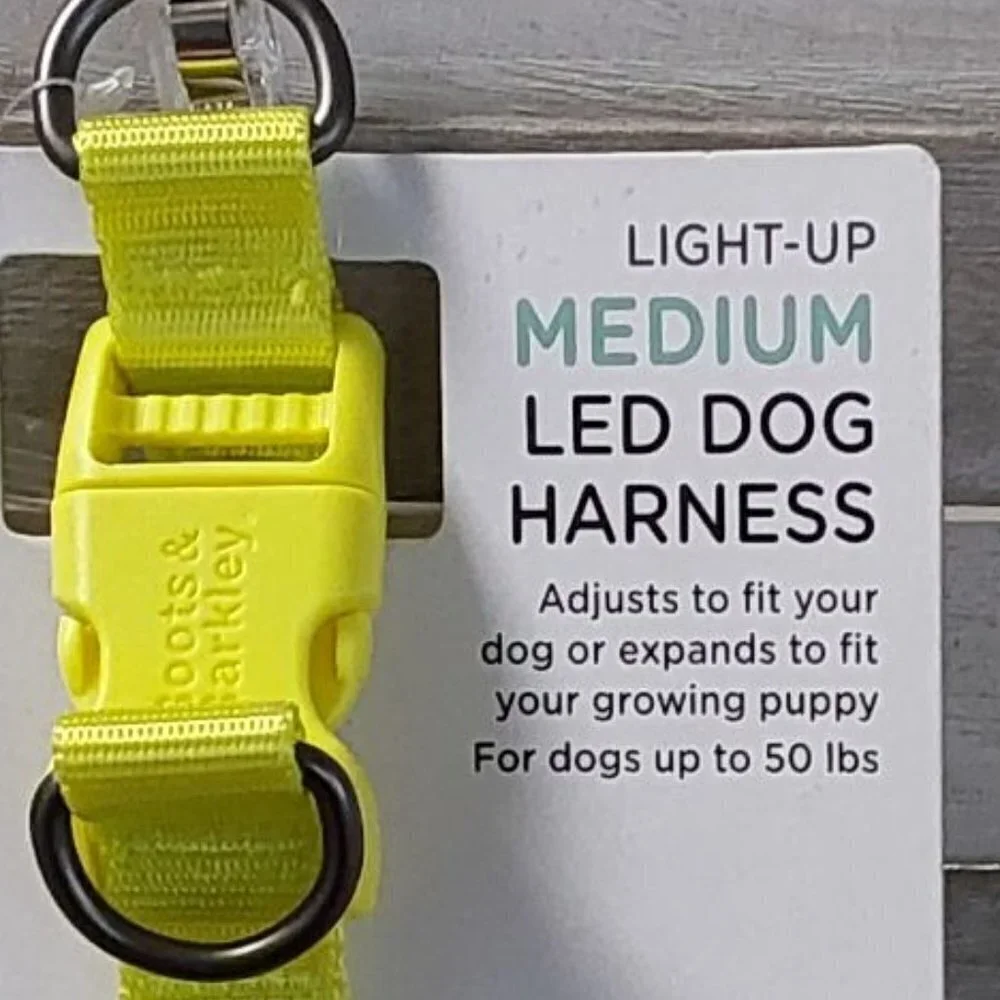 LED Rechargeable Dog Harness Vibrant Green | Boots & Barkley™ | Medium